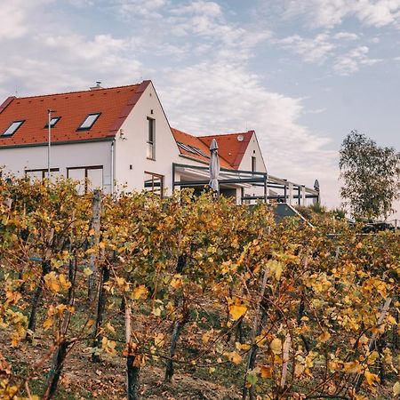 Vitis Kuria Hotel Balatonfenyves Exterior photo