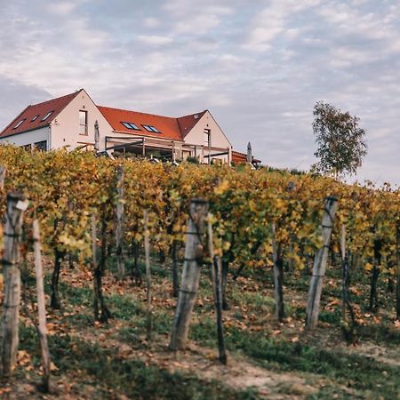 Vitis Kuria Hotel Balatonfenyves Exterior photo