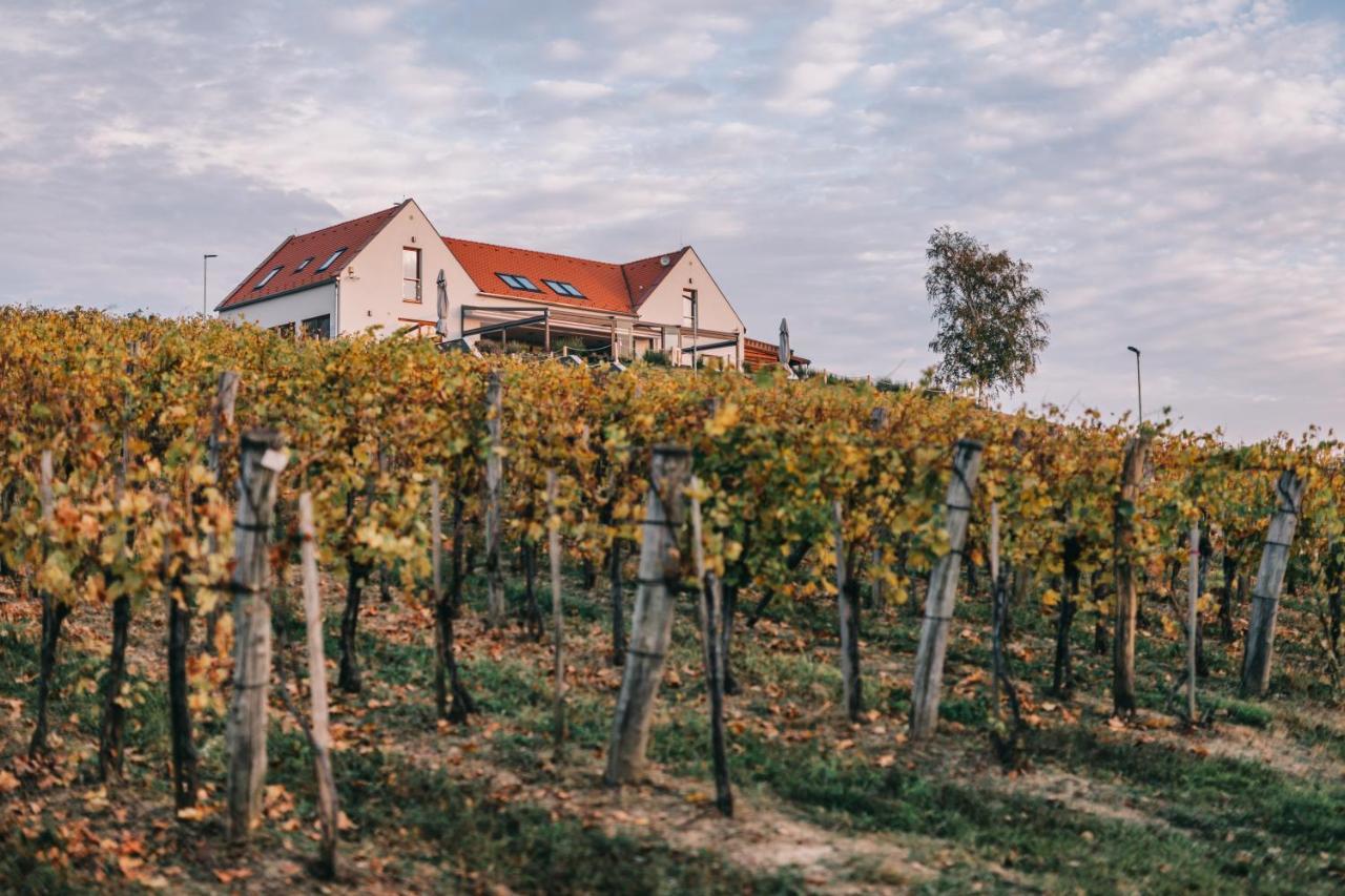 Vitis Kuria Hotel Balatonfenyves Exterior photo